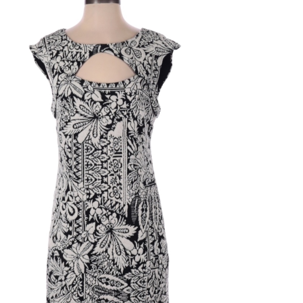 Anthropologie Dress XS